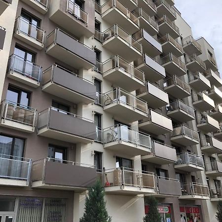 Mivardomi Accommodation 클루지나포카 외부 사진